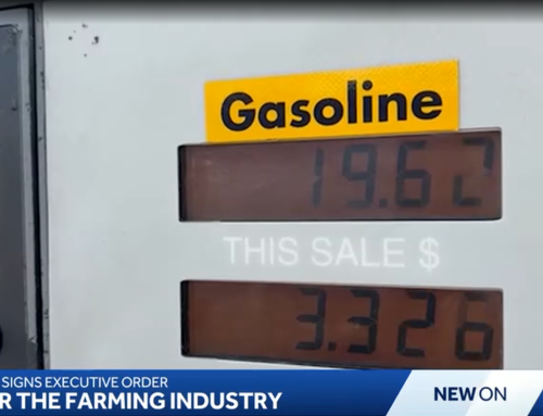 Louisiana governor declares state of emergency as diesel prices hit record highs
